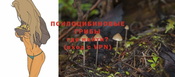 PSILOCYBIN Сафоново