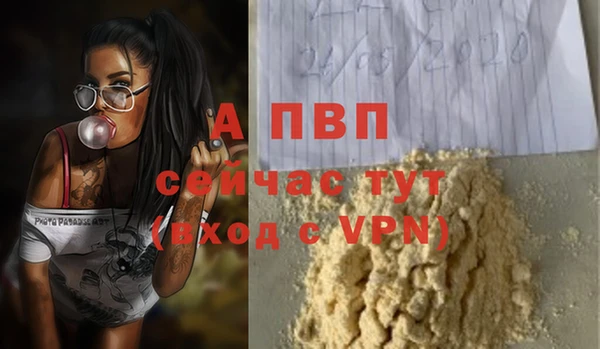 стафф Аркадак
