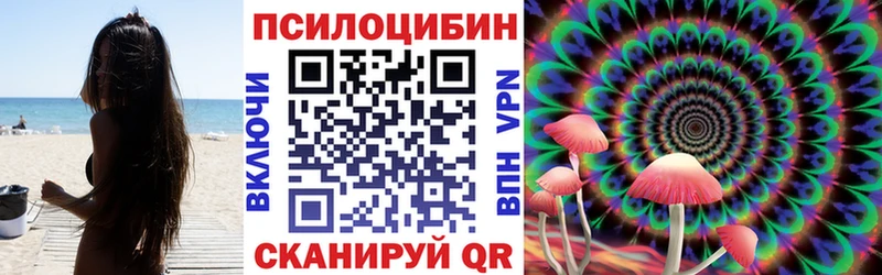 кракен tor  Сольцы  Псилоцибиновые грибы прущие грибы 